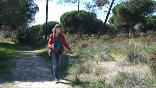 preview picture of video 'Ria Formosa Natural Park - 2nd Part (Traveline Southern Portugal)'