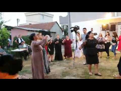 Dritoni per ilirin edhe bejtullahin