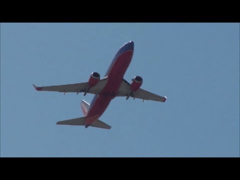 Plane Spotting Fedex MD-10's & MD-11's Taking Off at Indianapolis