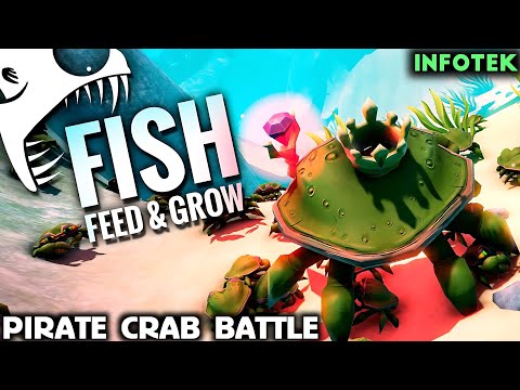 Feed & Grow Fish | Pirate Crab Battle🔥