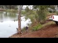 GERT POTGIETER DIE SWART KAT VS TREE