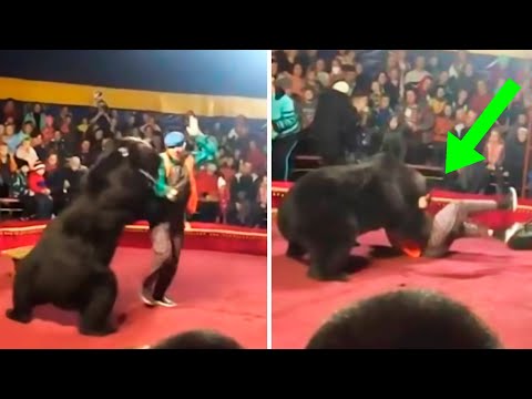 9 Times The Circus Went Terribly Wrong!