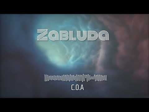 C.O.A. - ZABLUDA