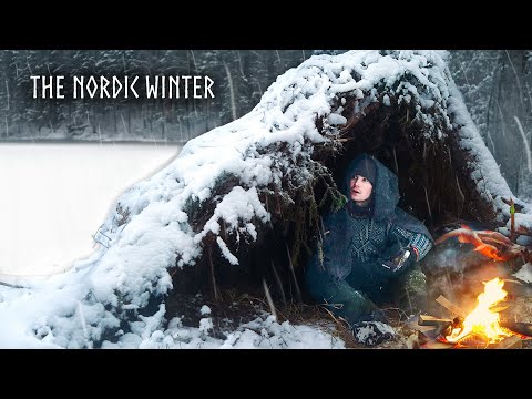 1 Hour EXTREME WINTER CAMPING ❄️  Surviving the Frozen North