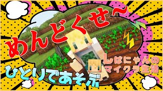 資材集めとか洞窟探検とか・・・