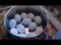 How to Make Perfect HARD BOILED EGGS: Noreens.