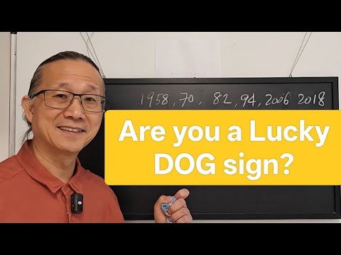 The Dog animal Zodiac in the year of the horse.