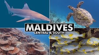 Diving the Maldives: Central &amp;amp; South Atolls revisited [4k]