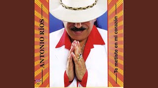 Besame Besame Lyrics English Translation