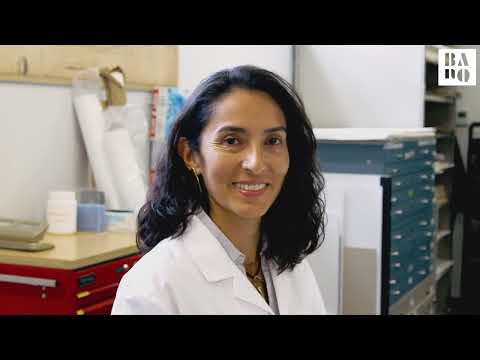 BAnQ | La Bibliothèque nationale