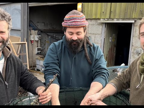 Bio-engineer Adam Swan - Presentation + Q & A with the Mycelium Composting Network