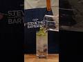 Best Gin Tonic