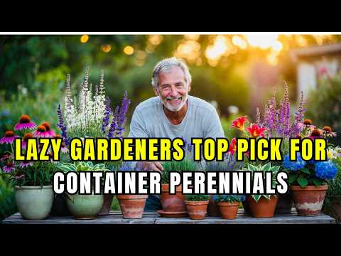 😍Top Lazy Gardener’s Dream: 10 Perennials Perfect for Containers + Pot Hack 🪴