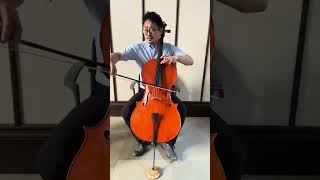Download lagu Elgar:Cello Concerto mp3 Download lagu Elgar:Cello Concerto mp3