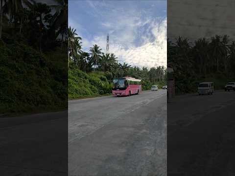 Mega Bus Lines Corp. 37D YUTONG // Gumaca Bypass Road  // Jun/14/2025 #bus #transport #travel