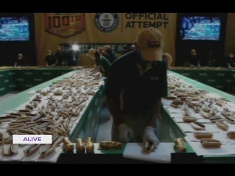 Highlights - 08/09/2016