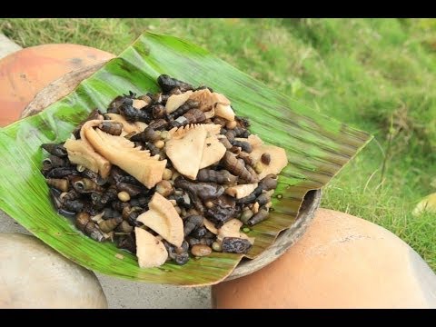 download lagu mp3 mp4 Kalinga, download mp3 Kalinga free downloadn, video klip Kalinga