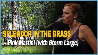 Pink Martini (with Storm Large) - Splendor in the Grass (2011)