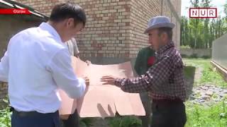 Кошуналарды кагыштырган көйгөй