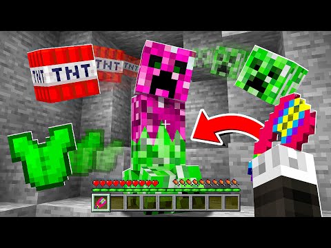 MINECRAFT MA POSSO TOSARE I MOSTRI