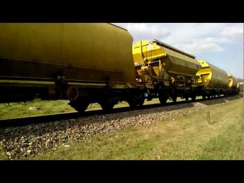 Especial Cereais Ramalhal