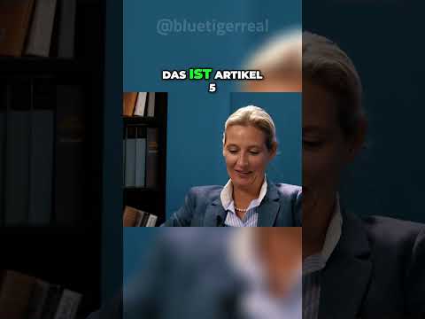 Article 5 of the Basic Law: What politicians really need to know!