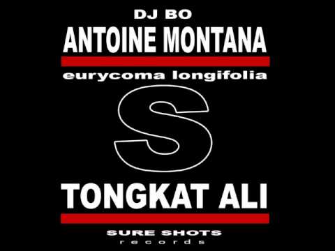Antoine Montana, DJ Bo   Tongkat Ali Rockstarzz Remix
