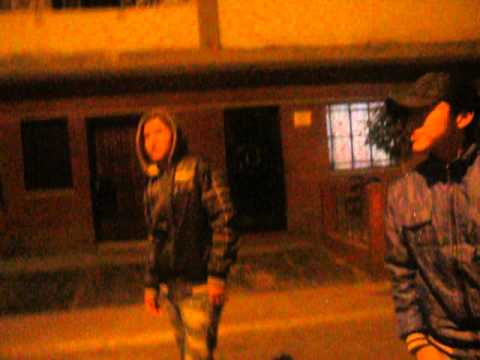 el regreso de los perros salvajes