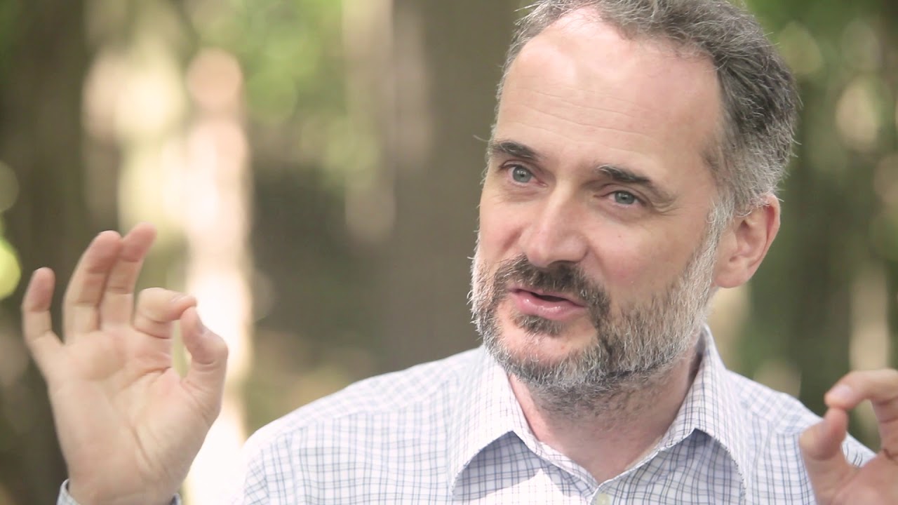 Stories Happen in Forest: David Haskell