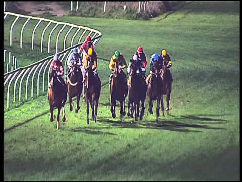 Galoppo 23/02/2016 - 7° corsa