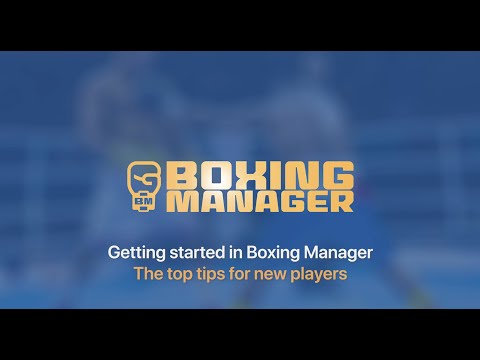 Видео Boxing Manager #1