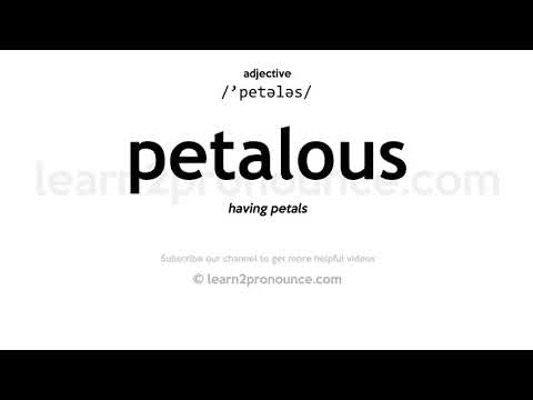 Pronunciation of Petalous | Definition of Petalous