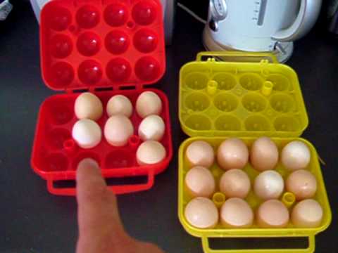 Country Life Episode 7 Chickens Part 02