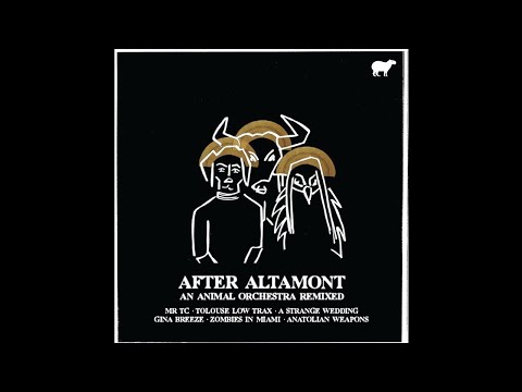 PREMIERE: After Altamont - Three Men Down ft. Shawni (Tolouse Low Trax Man Down Remix) [Inside Out]