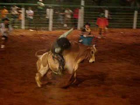 Rodeio em Terra Rica, Porkinho montando 2007.