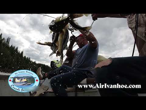 The Best Fly In Fishing Trips - Northern Canada - Air Ivanhoe - Wilderness Wildlife and Walleye - YouTube