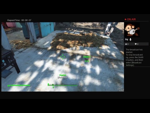 NEW! Transdoggifier MK1!