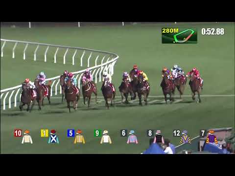 鴻運飛鷹21/12/22……(279)第九塲三班1200米