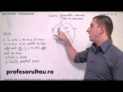 probleme asemenarea triunghiurilor - profesorultau.ro
