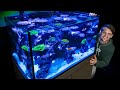 Indoor Ocean - My Saltwater Coral Reef Marine Aquarium