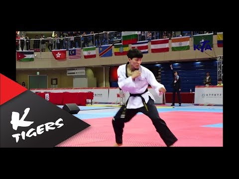 대한민국 자유품새사상 첫 금메달 2018세계태권도 품새대회 자유품새 MVP 개인전1위 나태주(K타이거즈)