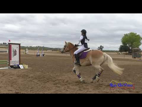 152S Tessa Welliver on Creme Brulee Intro Show Jumping Twin Rivers Ranch October 2020