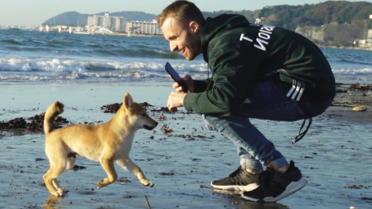 1 MOIS APRÈS, JE REVOIS MON CHIEN thumbnail