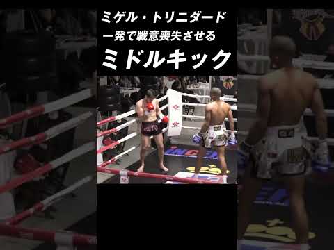 ミゲール・トリンダーデのミドルキック 10戦全勝(7KO) #K-1 #RISE #GLORY #ONE