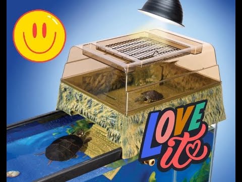 Introducing the Turtle Topper & my guppies had babies