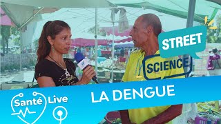 Streetscience enquête sur la dengue