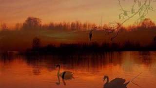 Music video thumbnail preview for Zupfgeigenhansel - Es dunkelt schon in der Heide by Zupfgeigenhansel