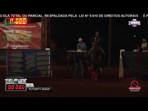 XI Grande Show de 3 Tambores ZD & EK 2021