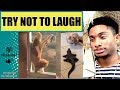 Hilarious Cat Fails Try Not To Laugh Funny Cats Compilation 2018 Life Awesome ALAZON REACTION