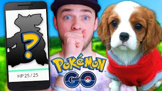 Pokemon GO GLITCH + RARE POKEMON HUNT!